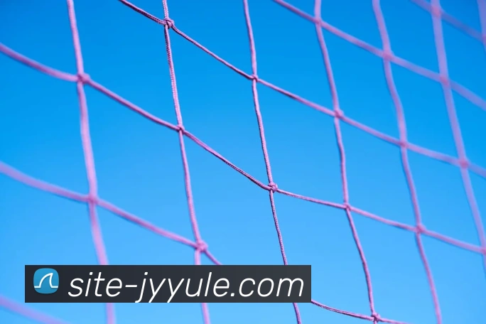 九游体育服务体系